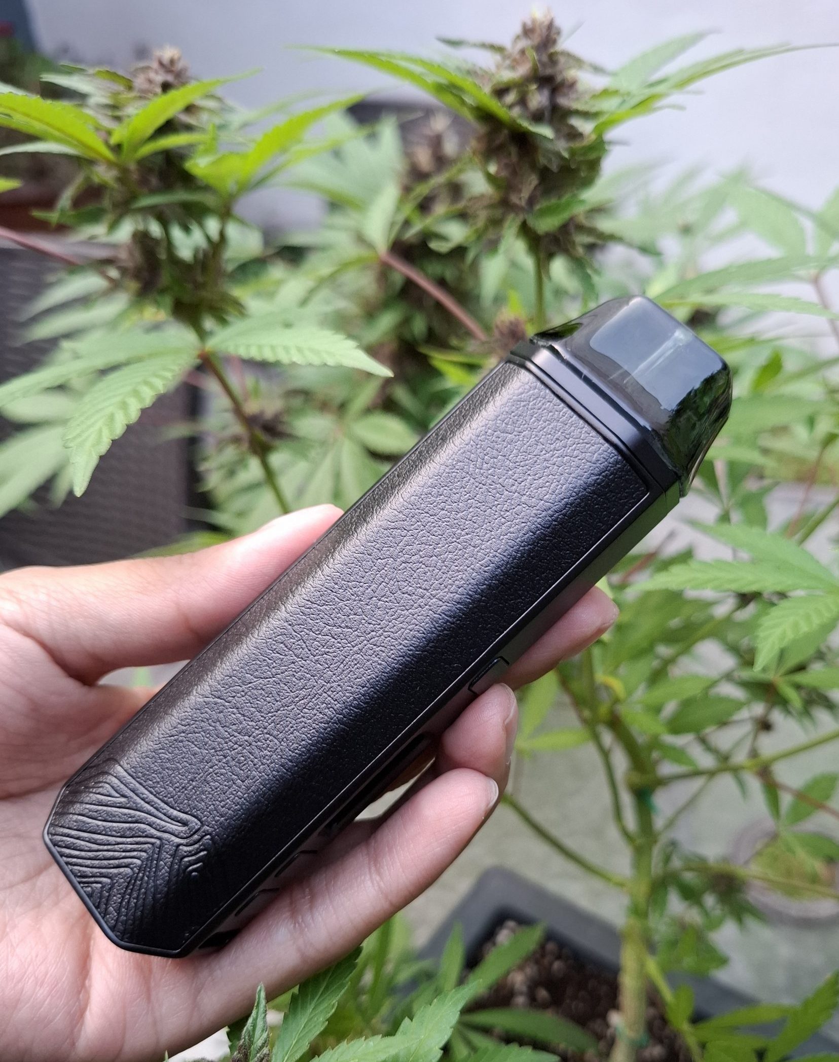 Vaporizador herbal xvape