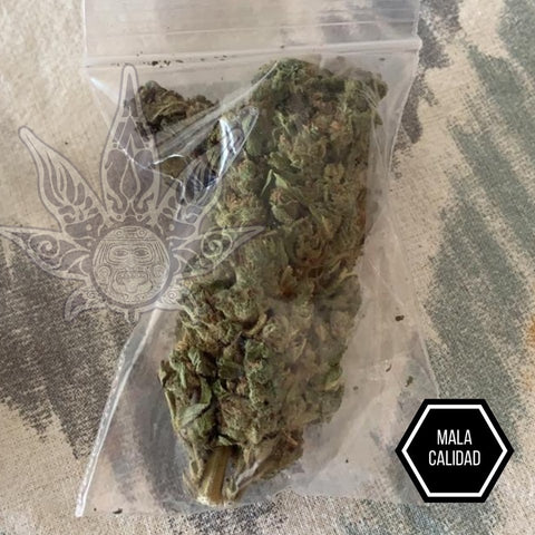 Información-sobre-la-marihuana