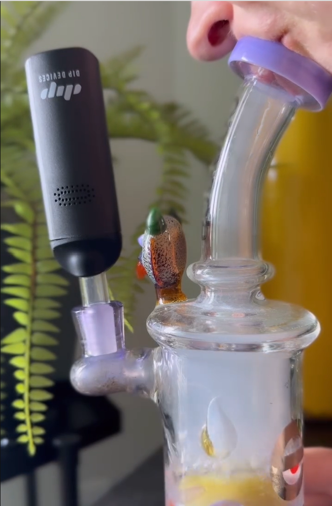 Aster Vaporizer con Bong